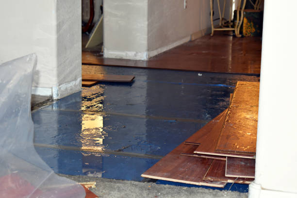 Professional Basement Flood Cleanup technician working in University, MS